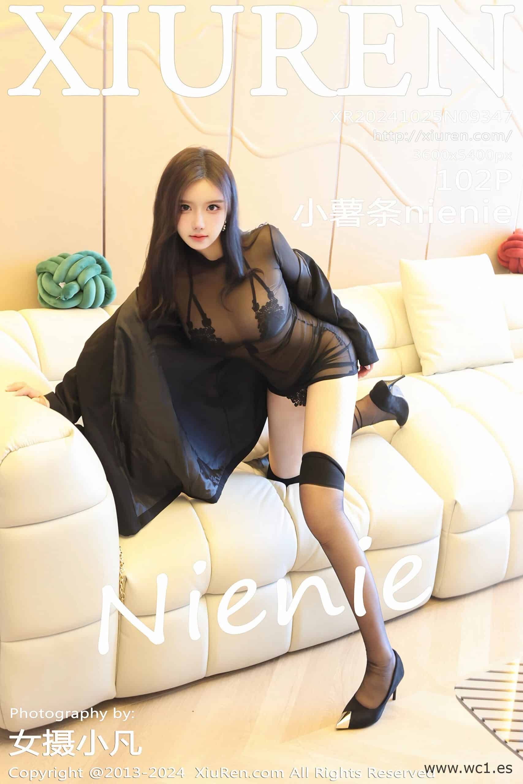 【秀人网】小薯条nienie（9347）