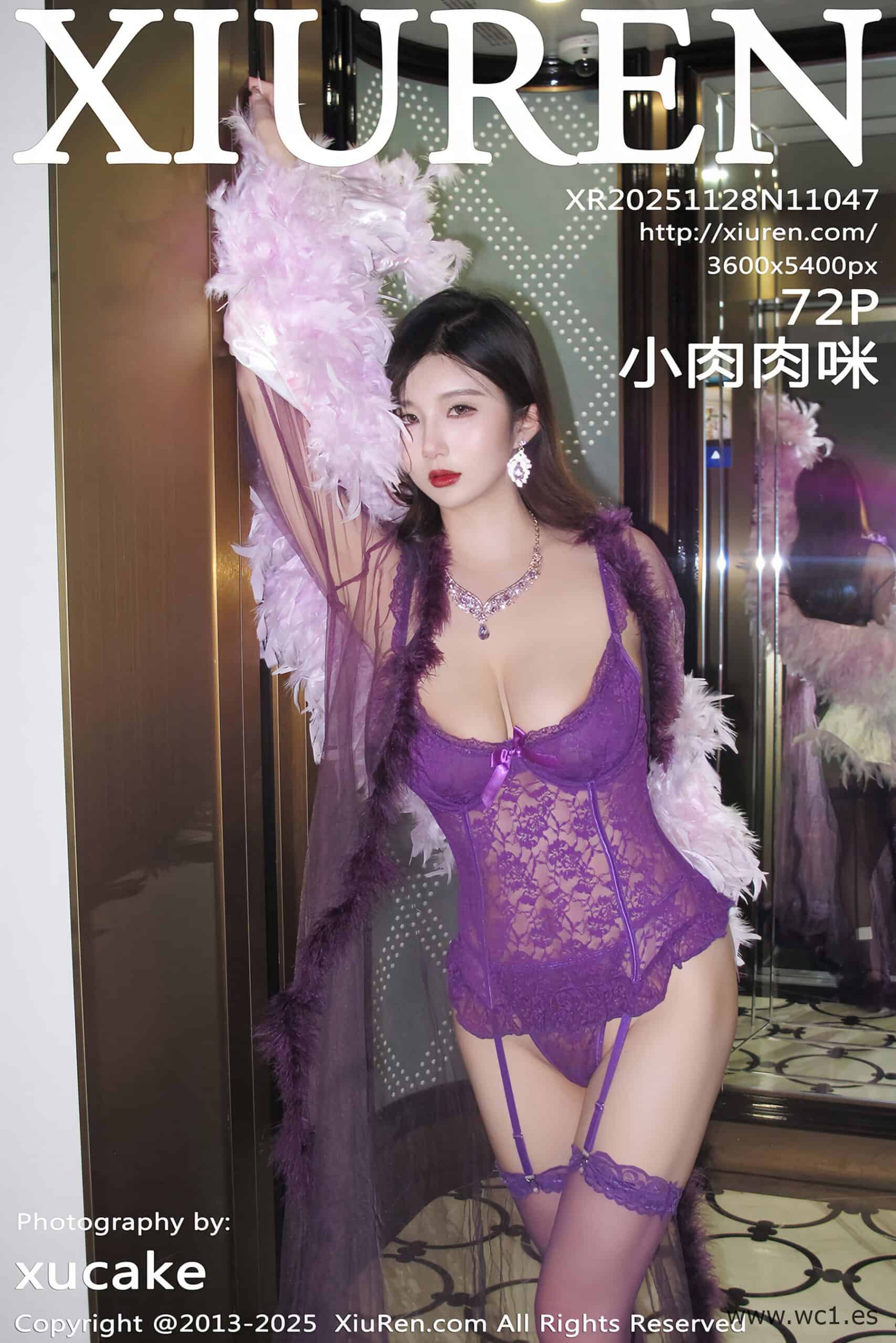 【秀人网】小肉肉咪（11047）